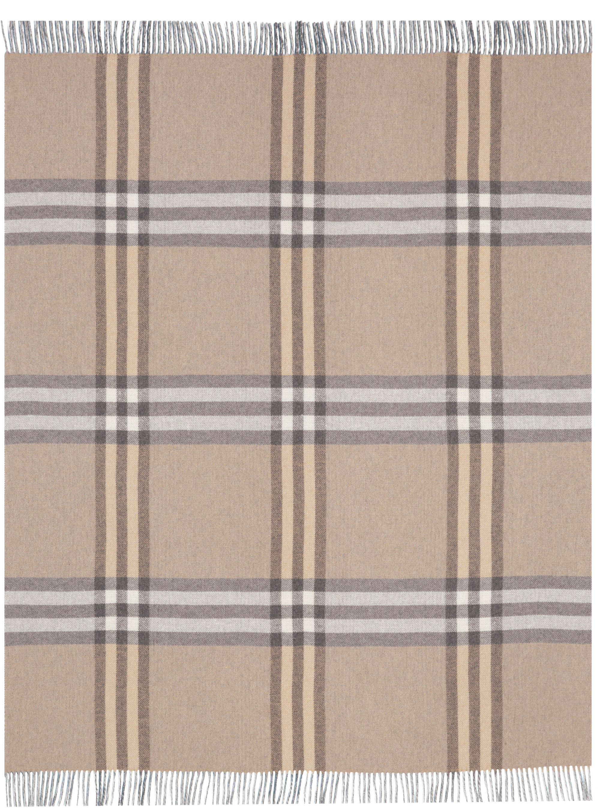 Kaschmirplaid Twin Check Freisteller